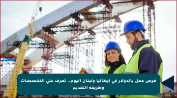 فرص عمل بالدولار في إيطاليا ولبنان اليوم.. تعرف على التخصصات وطريقة التقديم